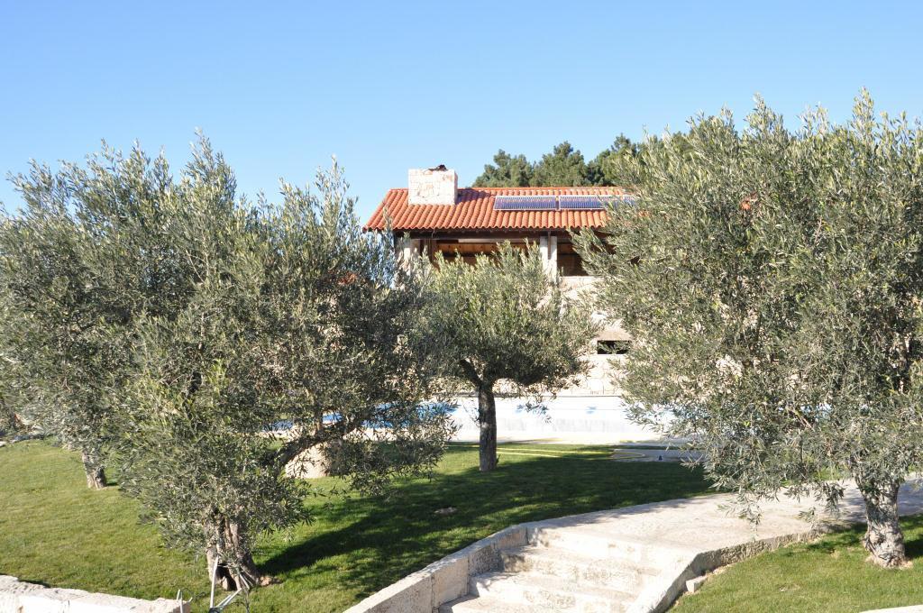 Quinta Do Olival Guest House Vilas Boas  Exterior foto